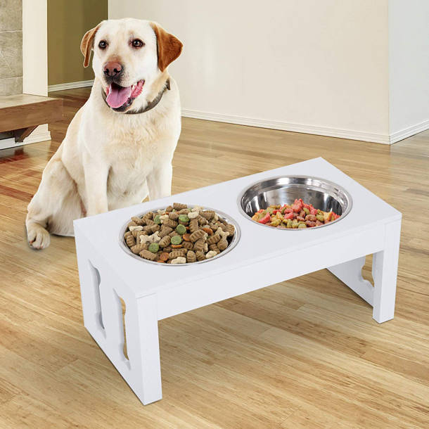 Master Equipment Dog Grooming Table with Arm & Reviews Wayfair